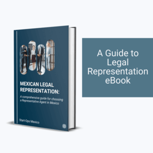 The Essential Guide to Legal Representation in Mexico (Ebook)